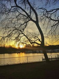 Silhouette of bare trees by lake during sunset