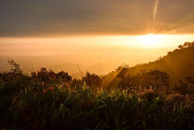 Scenic view of field against sky during sunset