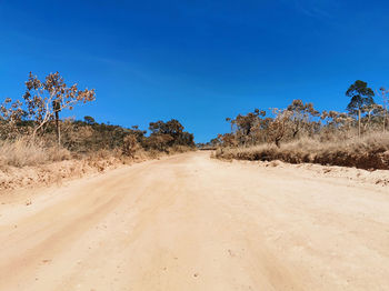 Dirt road amidst trees against blue sky