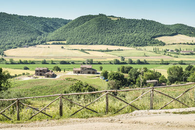 Scenic view of agricultural field