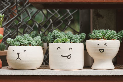 Close-up of potted plants