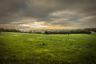 Scenic view of agricultural field against sky