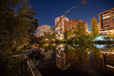 Buildings and trees in city at night