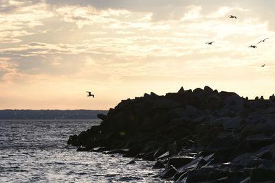 Birds flying over sea against sky