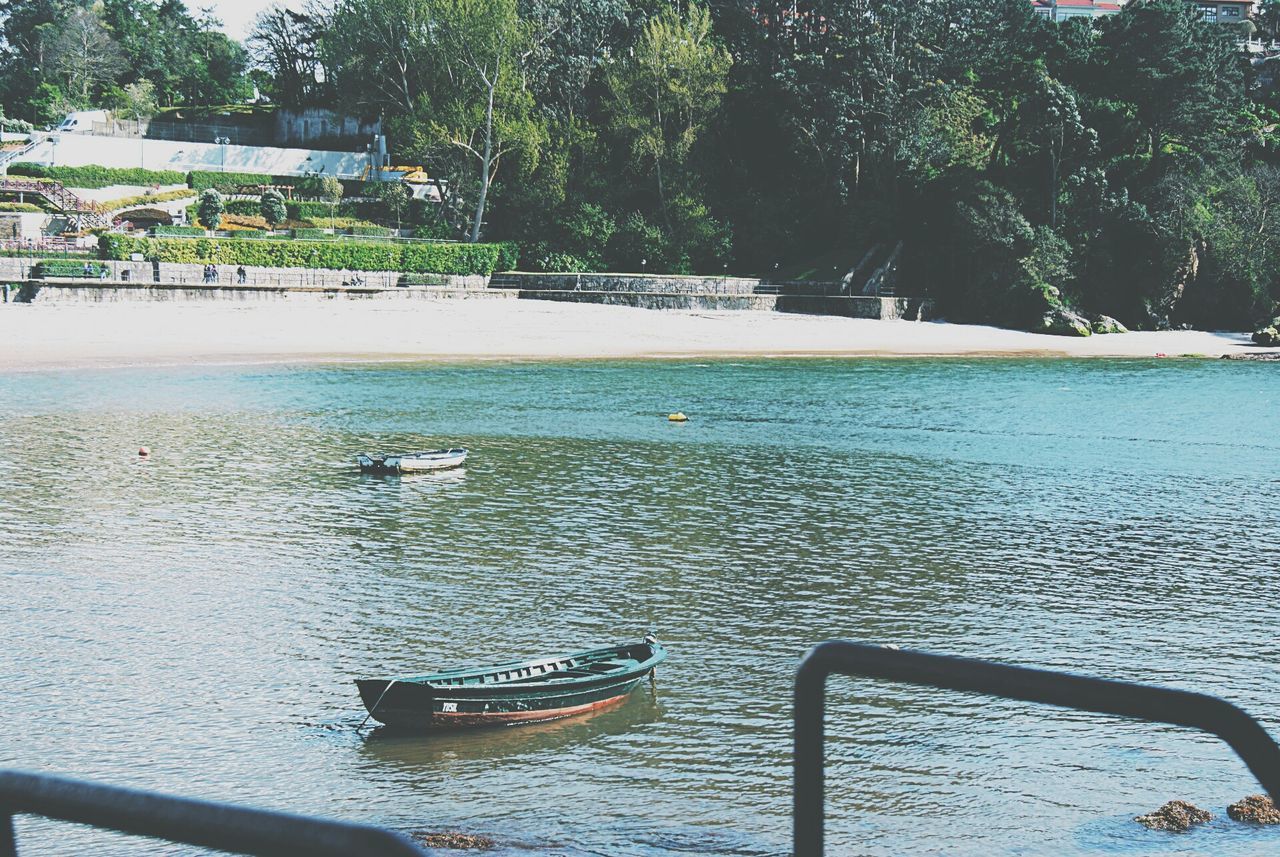 water, nautical vessel, tree, bird, transportation, boat, mode of transport, animal themes, animals in the wild, moored, wildlife, nature, tranquility, lake, day, river, outdoors, tranquil scene, sea, beauty in nature