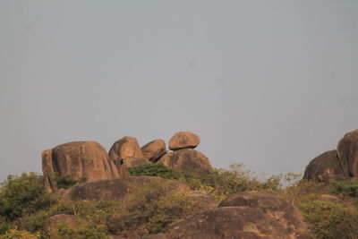 Scenic view of trees against sky