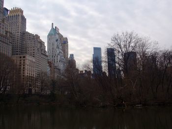 Buildings and trees against sky in city