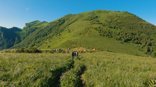 People walking on field