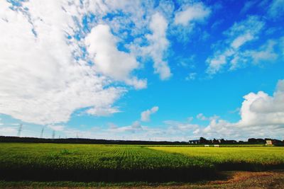 Scenic view of field against blue sky