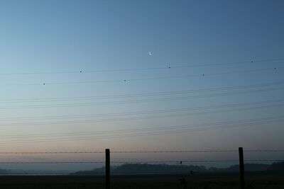 Birds on beach against clear sky