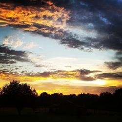 Silhouette of trees at sunset