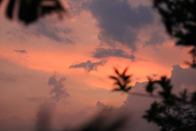 Low angle view of silhouette trees against dramatic sky