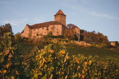 Castle in vineyard glowing in the sun