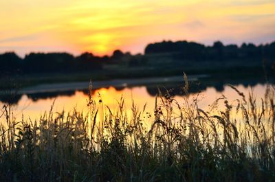 Scenic view of lake during sunset