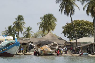 People on beach by palm trees against sky