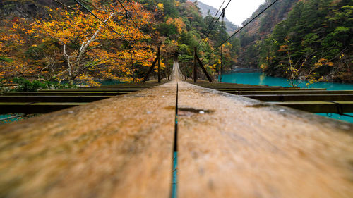 Surface level of lake by trees during autumn