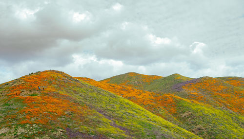 Scenic view of mountains against sky during autumn