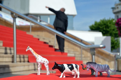 Upstairs of cannes film festival