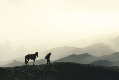 Silhouette man walking with horse on mountain against sky