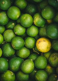 Green and fresh bunch of limes