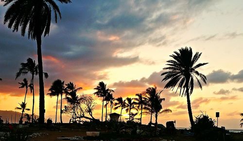 Silhouette of palm trees against cloudy sky