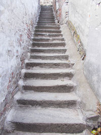 Staircase amidst trees