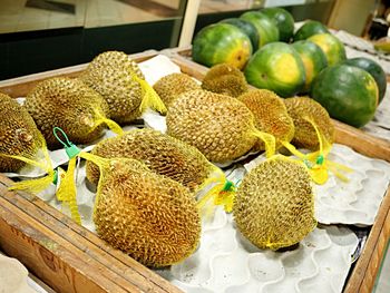 Close-up of durian