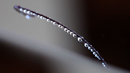 Close-up of water drops on metal