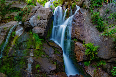 View of waterfall in forest