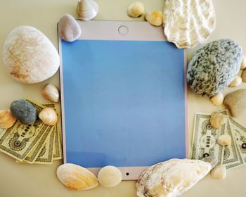 High angle view of shells on table