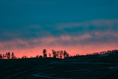 Silhouette of trees at sunset