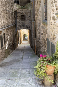 Potted plants in old alley amidst buildings