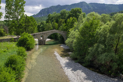 Arch bridge over river amidst trees
