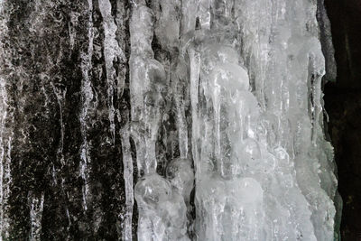 Close-up of icicles on rock