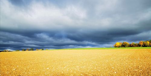 Scenic view of agricultural field against sky