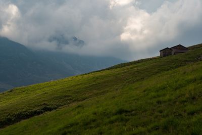 Scenic view of grassy field against sky