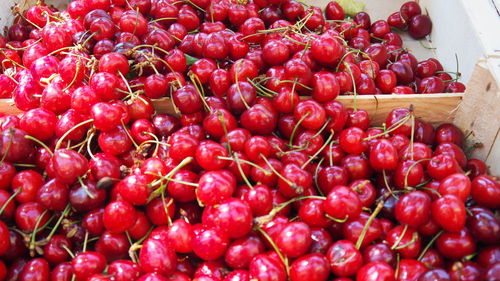 Close-up of red fruits for sale in market