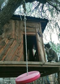 Low angle view of horse hanging on tree