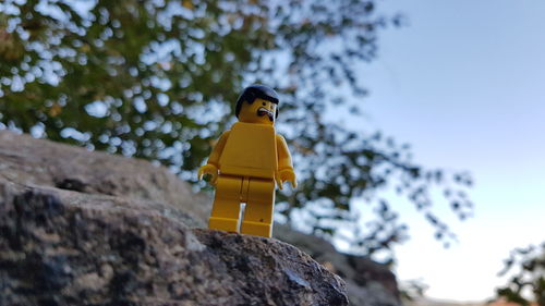 Low angle view of bird on rock