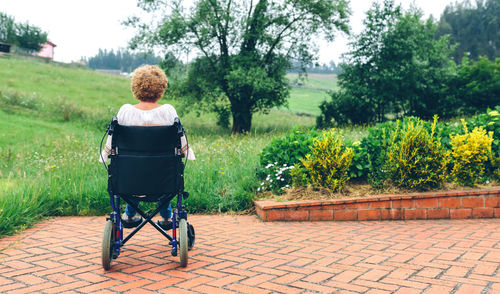 Rear view of woman sitting on wheelchair against trees