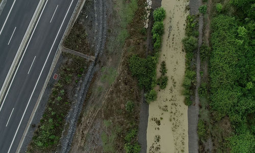 High angle view of road by trees in city