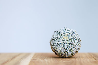 Close-up of cactus on table against wall