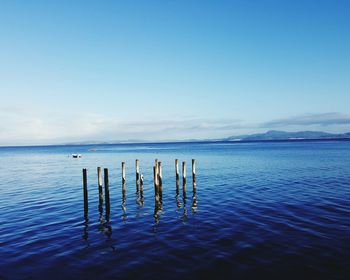 Wooden poles in calm blue sea