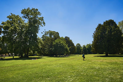 Trees on field in park against sky