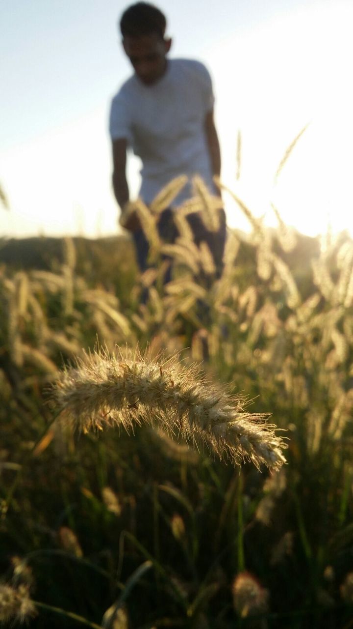 field, leisure activity, lifestyles, grass, focus on foreground, plant, nature, sky, standing, selective focus, sunlight, casual clothing, landscape, full length, childhood, three quarter length, growth, outdoors