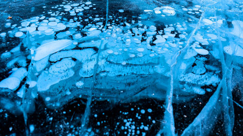 Close-up of frozen glass window