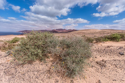 View of desert land against sky