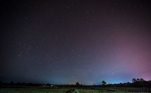 Low angle view of stars on field against sky