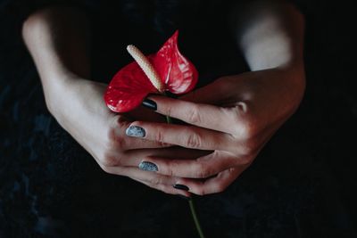 Close-up of woman hand holding red flower