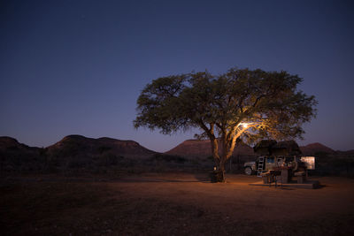 Tree on field against clear sky at night